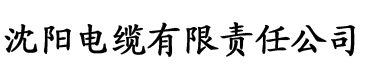 久久精品中文字幕第一页电缆厂logo